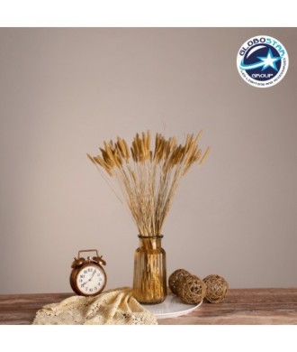 GloboStar® SETARIA 36557 Αποξηραμένο Φυτό Σεταρία - Μπουκέτο Διακοσμητικών Κλαδιών Μπεζ Υ60cm - Σετ 100 τμχ